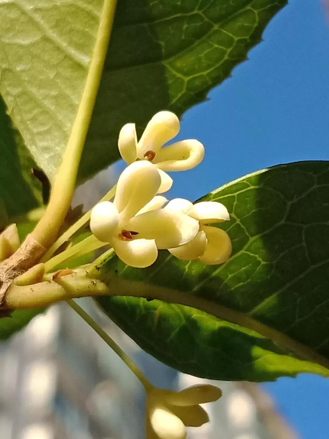 人睡着后不盖被子会着凉吗,人睡觉时为什么要枕枕头