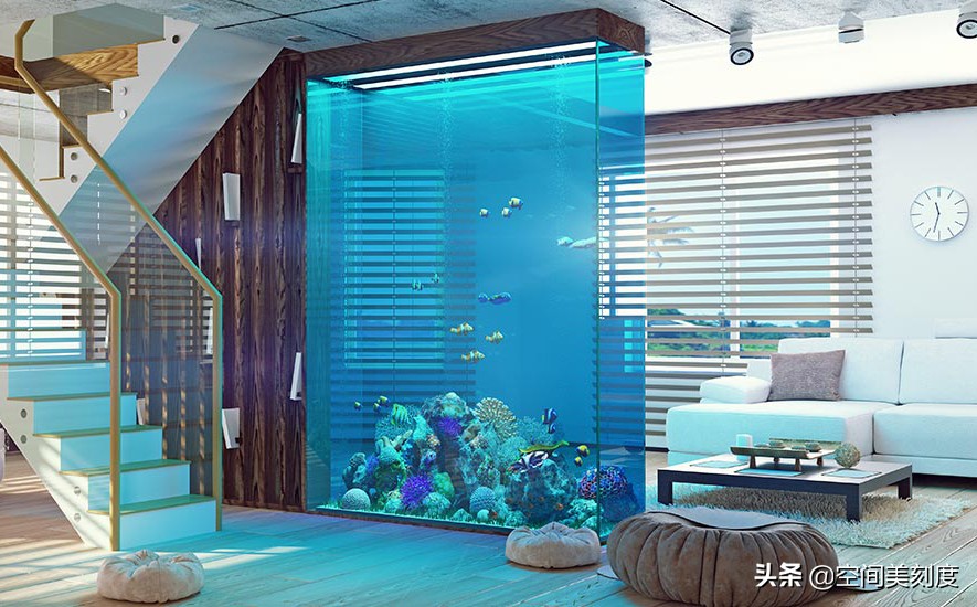 水中精灵鱼儿戏水,水中精灵鱼缸