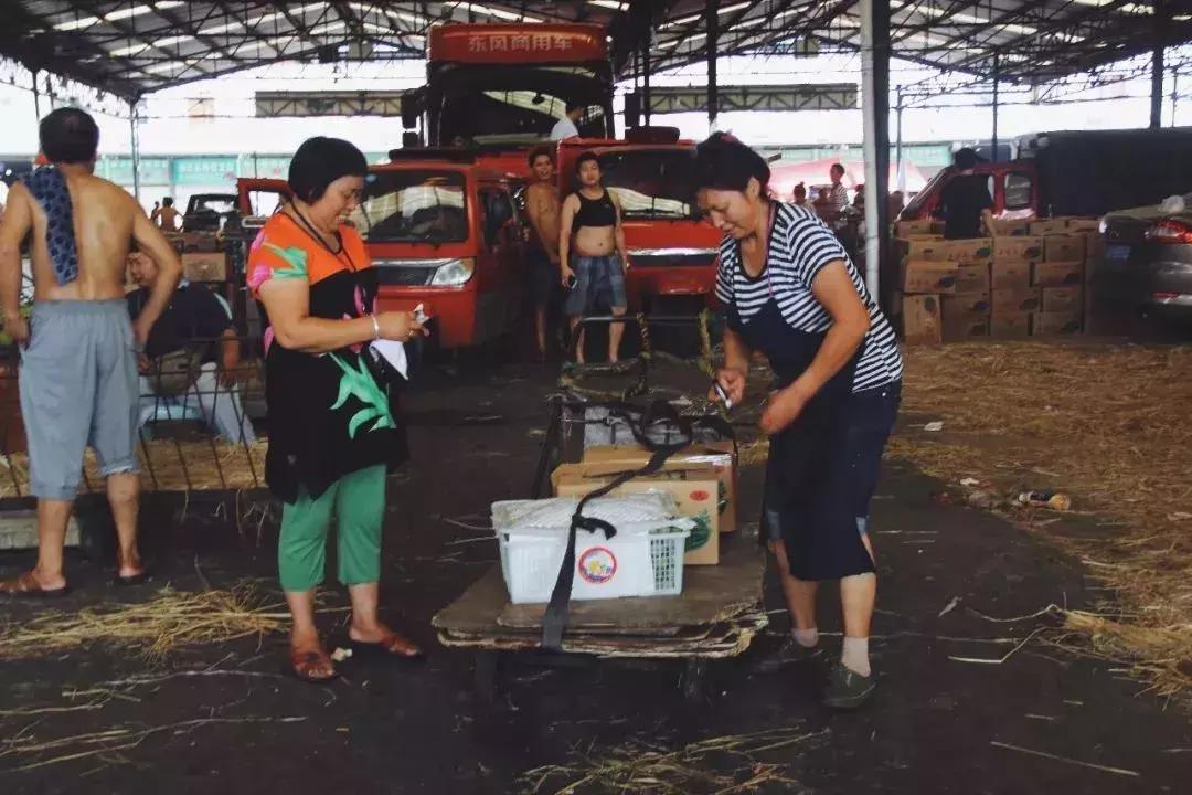 恭喜!菜园坝强势回归,将是踏入重庆的首站