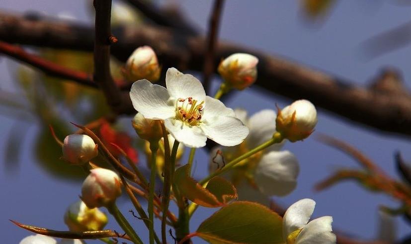 医巫闾山风景区简介旅游攻略,锦州医巫闾山风景区攻略