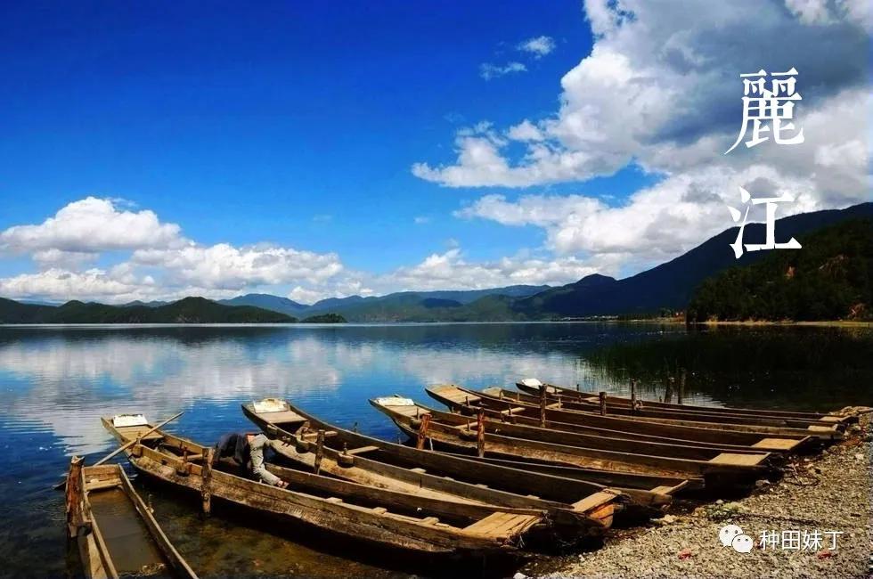 最好的感情,是一起到处走走