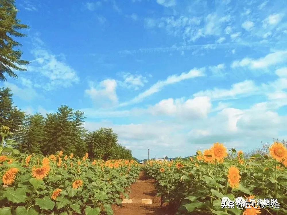 我的家乡广安市岳池县,岳池我的家乡