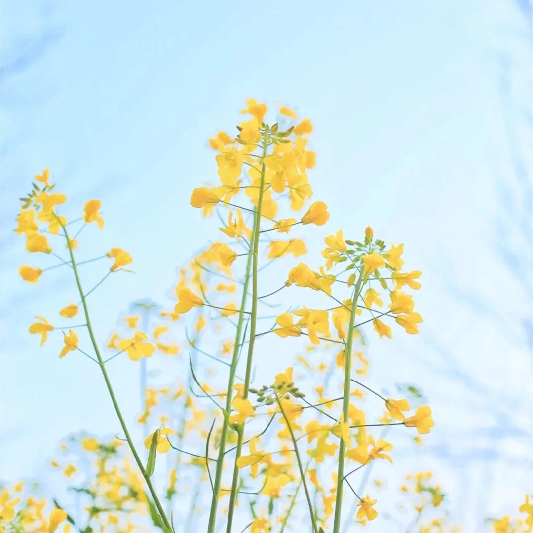 24岁的迷茫生活该怎么办,28岁一事无成迷茫焦虑看什么书