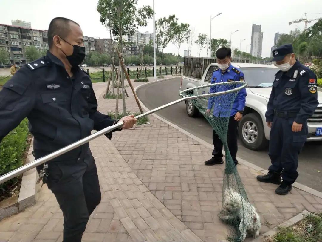 峰峰县综合执法局,峰峰综合行政执法局和城管局