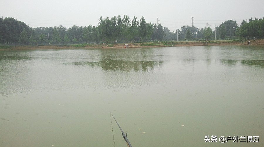 黑坑钓鱼鱼怎么样才不开口,黑坑垂钓如何避开小鱼