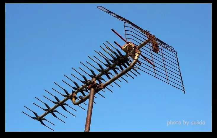 港台译制动画的大陆引进之路，构筑了你的一半童年回忆