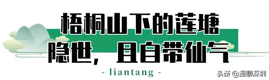 深圳空气中氡含量全国第一,深圳市负氧离子大概是多少