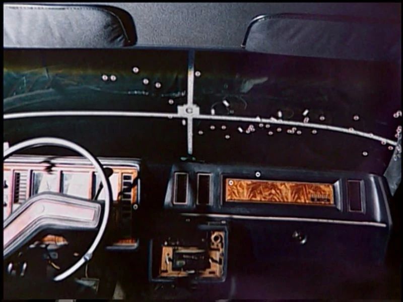 狗子出庭作证、鹦鹉指认凶手，动物的“鬼话”比“人话”更可信？