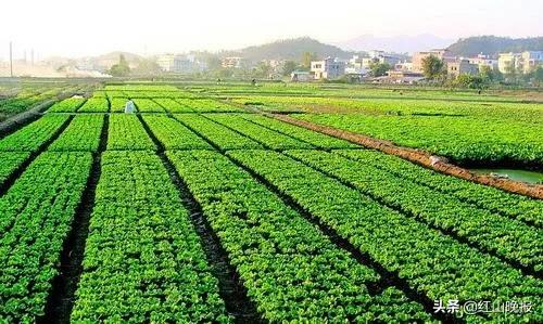 赤峰市粮食市场监督局,赤峰市市场监管局