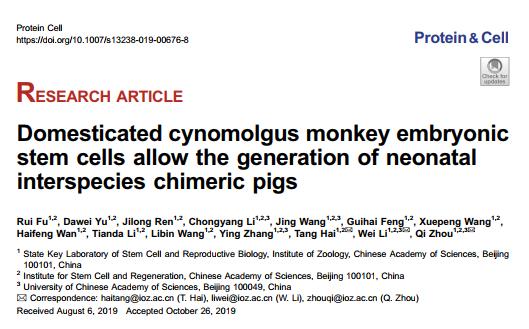 我国完成的首例猴猪混合体,猪猴混合体