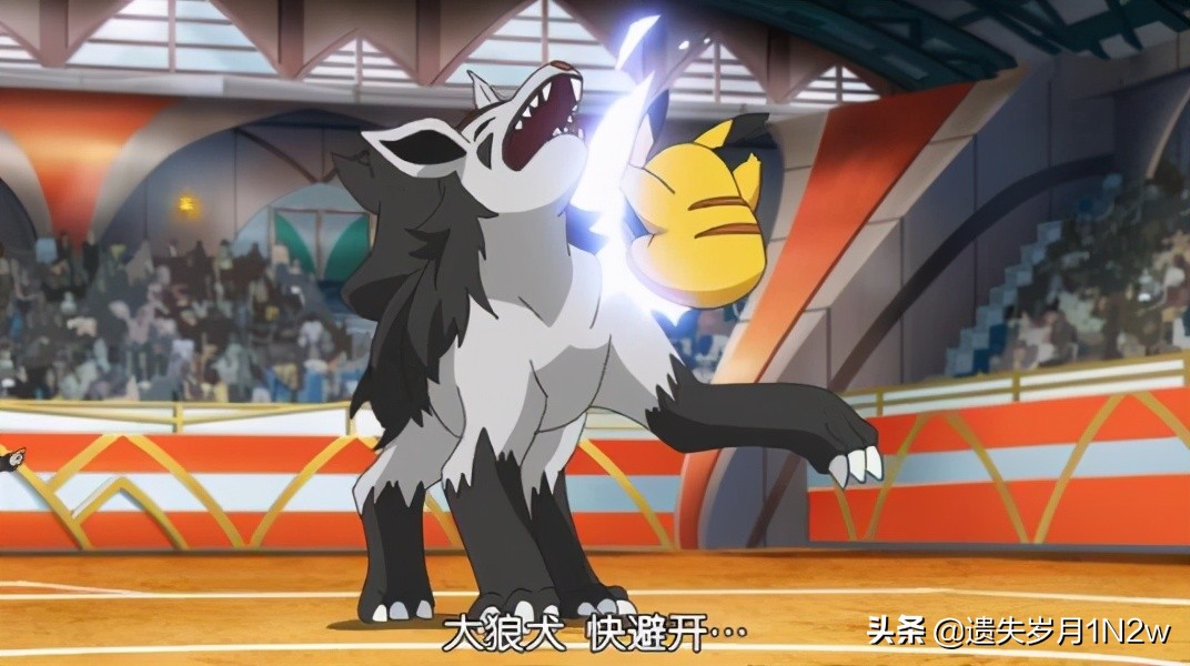 宝可梦犬类神兽,犬类宝可梦