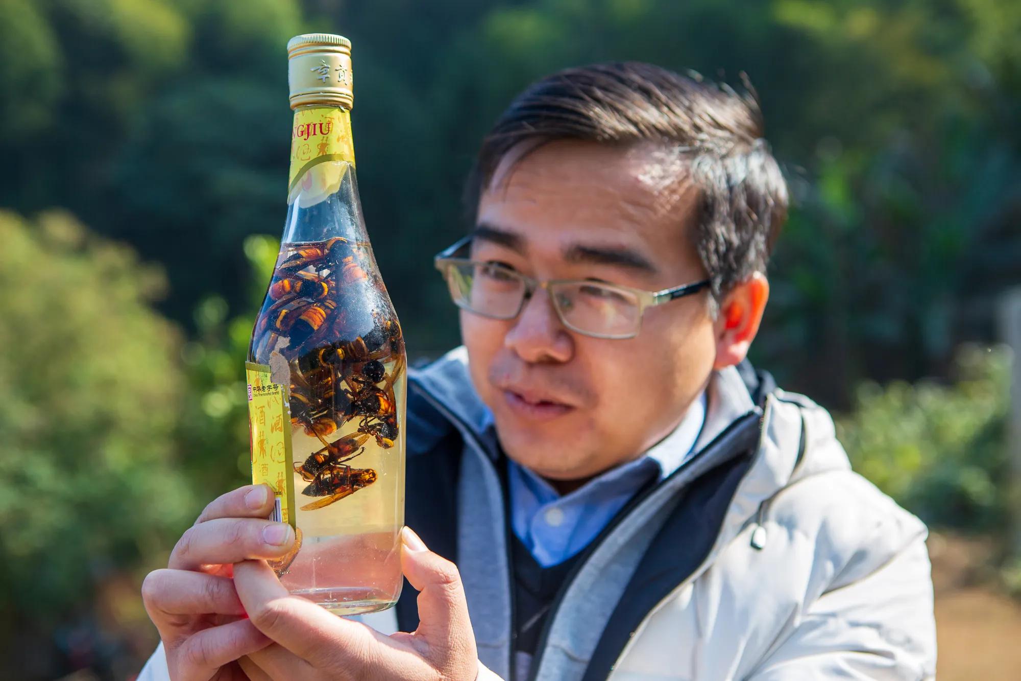 高岭古村银杏,高岭乡高岭村