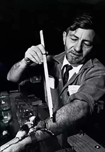 性冷淡性变态！性萧条时代来临！这场暗黑实验，解释社会矛盾