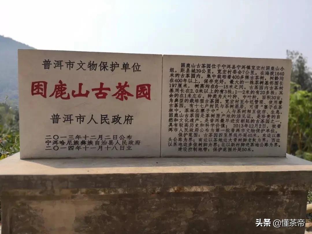 云南古树茶有名的有哪几种,云南十大古树茶是哪些