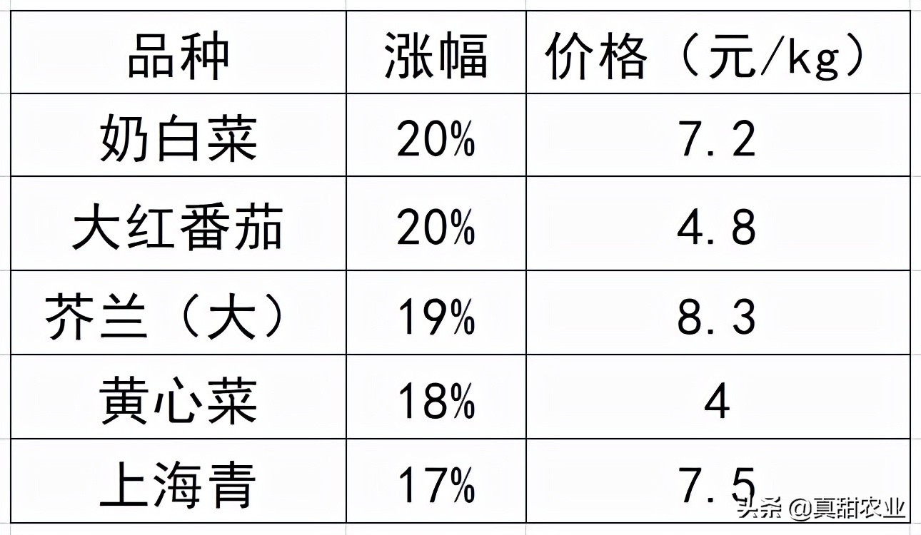 产区菜价继续利好上扬10.21广州蔬菜报价