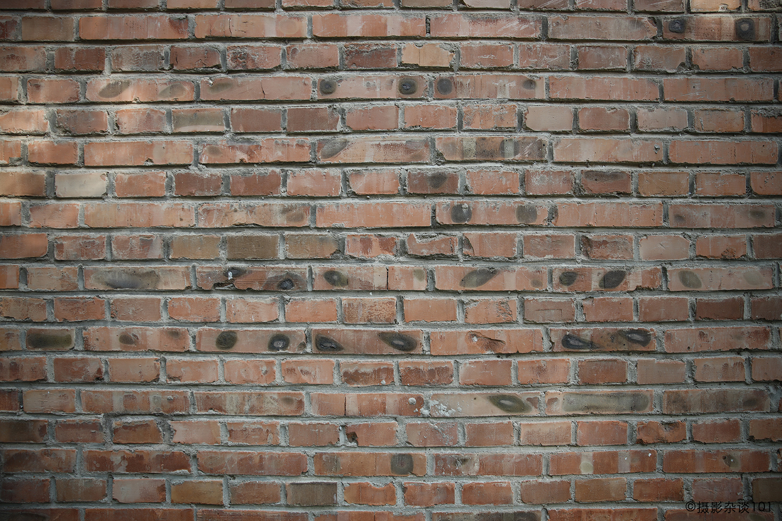 浣宠兘rf24-70f2.8闀滃ご鍊间笉鍊煎緱鍏ユ墜,浣宠兘rf24-70f2.8闀滃ご璇勬祴