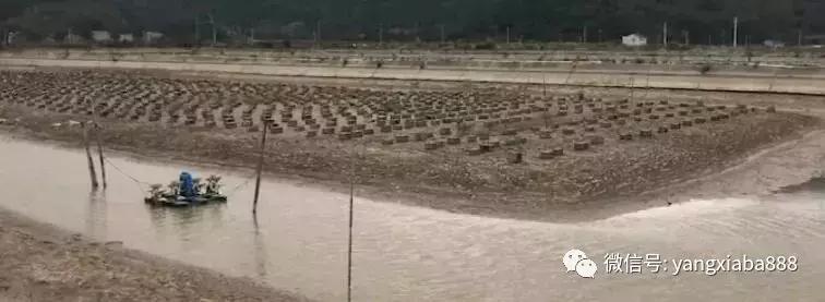 黑科技暴利生意,黑科技挣钱几万元