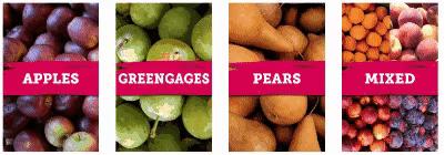 在新西兰吃过的美食,新西兰美食100种