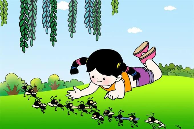 “蚂蚁搬家要下雨”不靠谱？看看蚂蚁的生活习性就知道是谁浅薄了