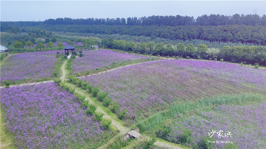 苏州红色革命旅游景点图片,苏州红色革命景点介绍视频