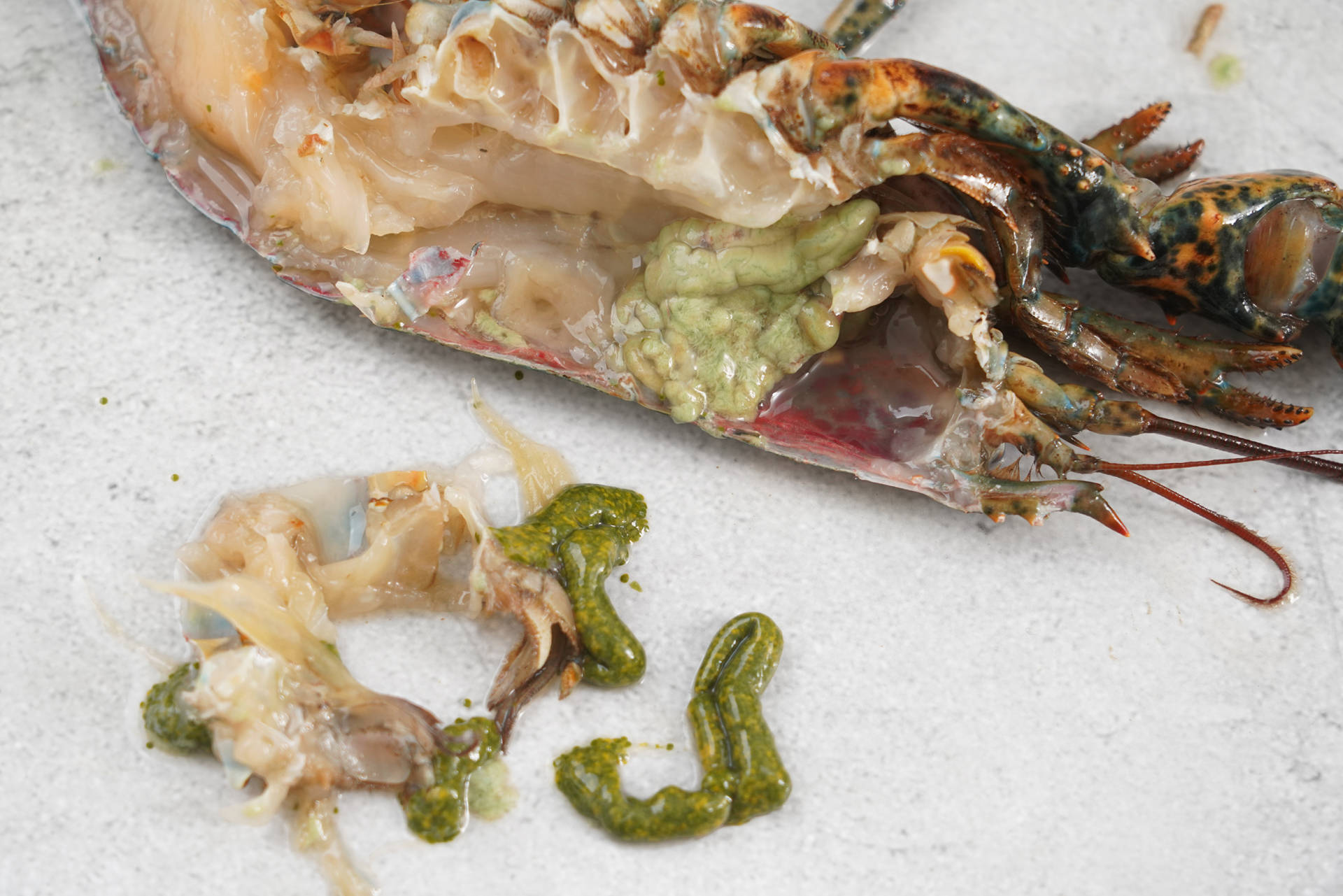 蒜蓉芝士焗龙虾的做法窍门视频,蒜蓉蒸波士顿龙虾的做法大全