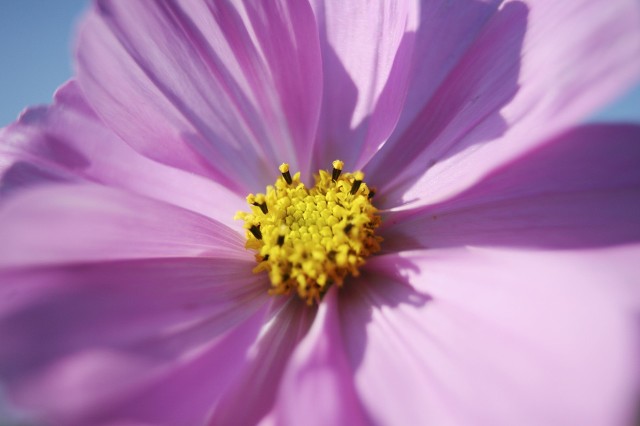 用心守护你的美丽,用心守护所有的美好