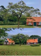 广州一日游攻略拍照,广州周边最适合一日游的五个景点