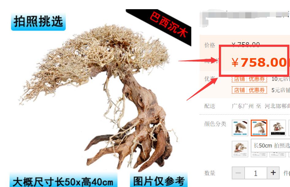 草缸的成本价,不花钱也能做的草缸教学