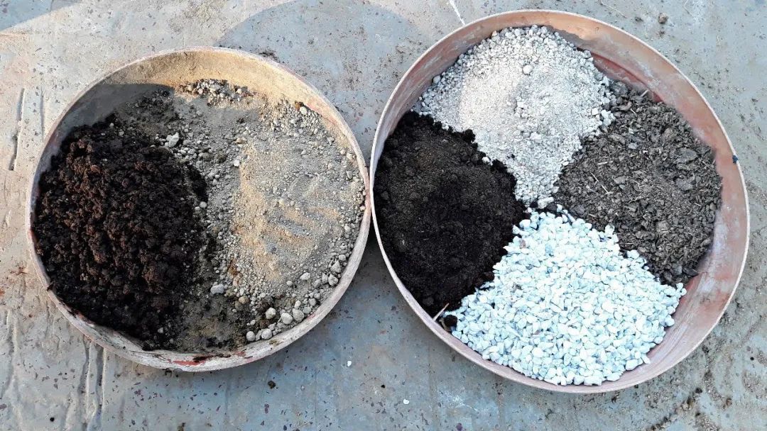 多肉植物怎样养新手入门篇,新手养多肉植物需要掌握的8点