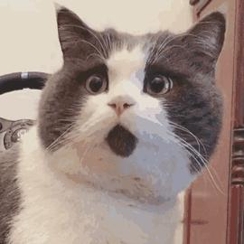 非法经营笑气获利11万判几年,男子贩卖笑气被判非法经营罪