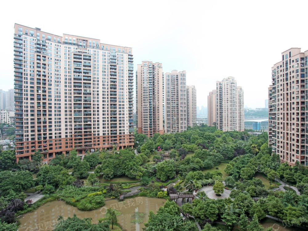 两江四岸+名校集团分校,也要擦亮了眼睛