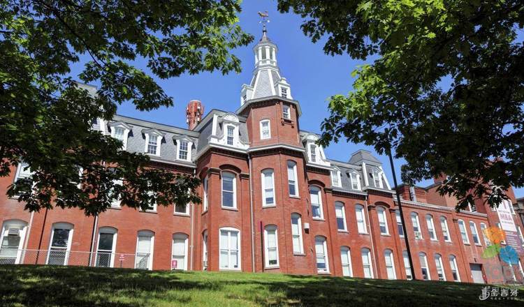 美国研究生统计学专业,美国研究生申请条件好吗