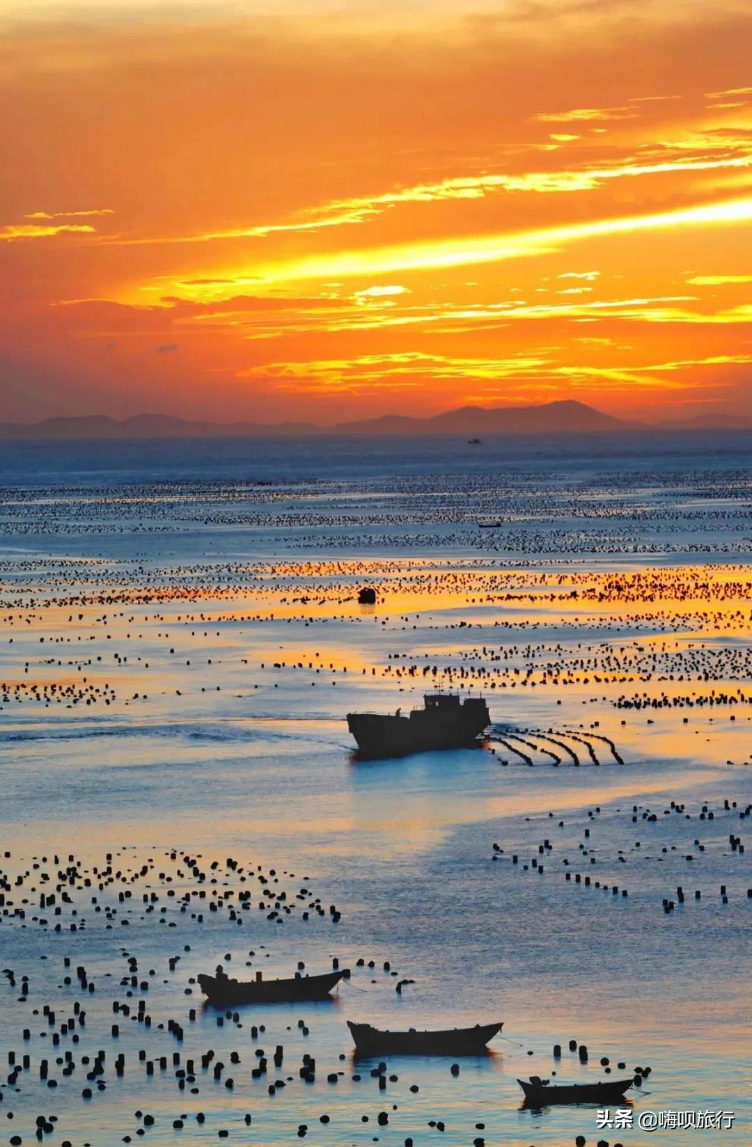 普陀旅游自由行攻略一日游,普陀小众海岛出游路线看完就出发