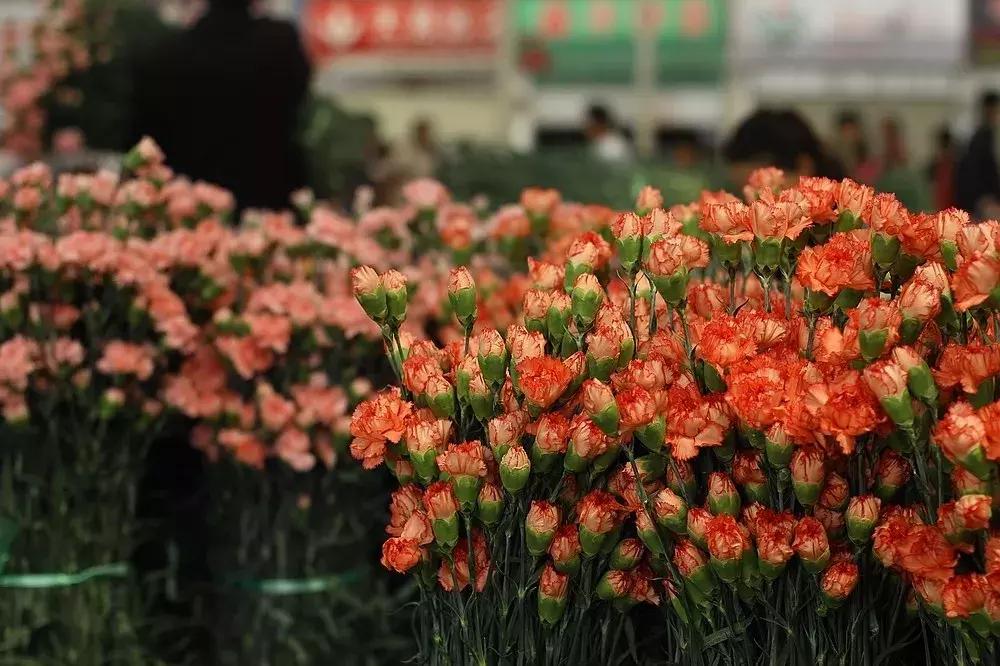 昆明主城区租房,昆明市各区租房价格表一览