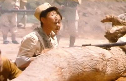 被雪藏5年的国产佳片,2021年之后口碑炸裂的国产佳片