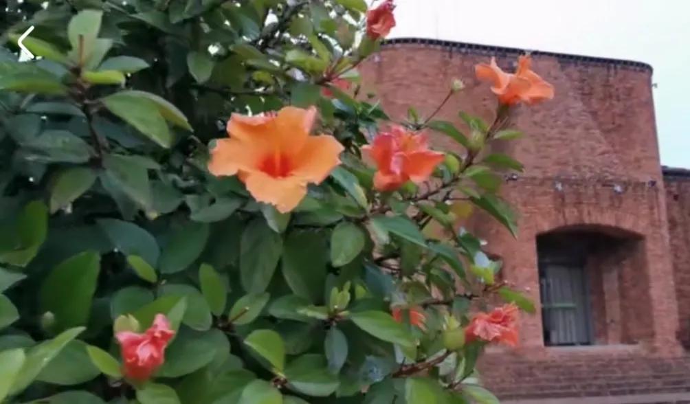 弥勒居住养老优缺点,弥勒市天气适宜养老吗