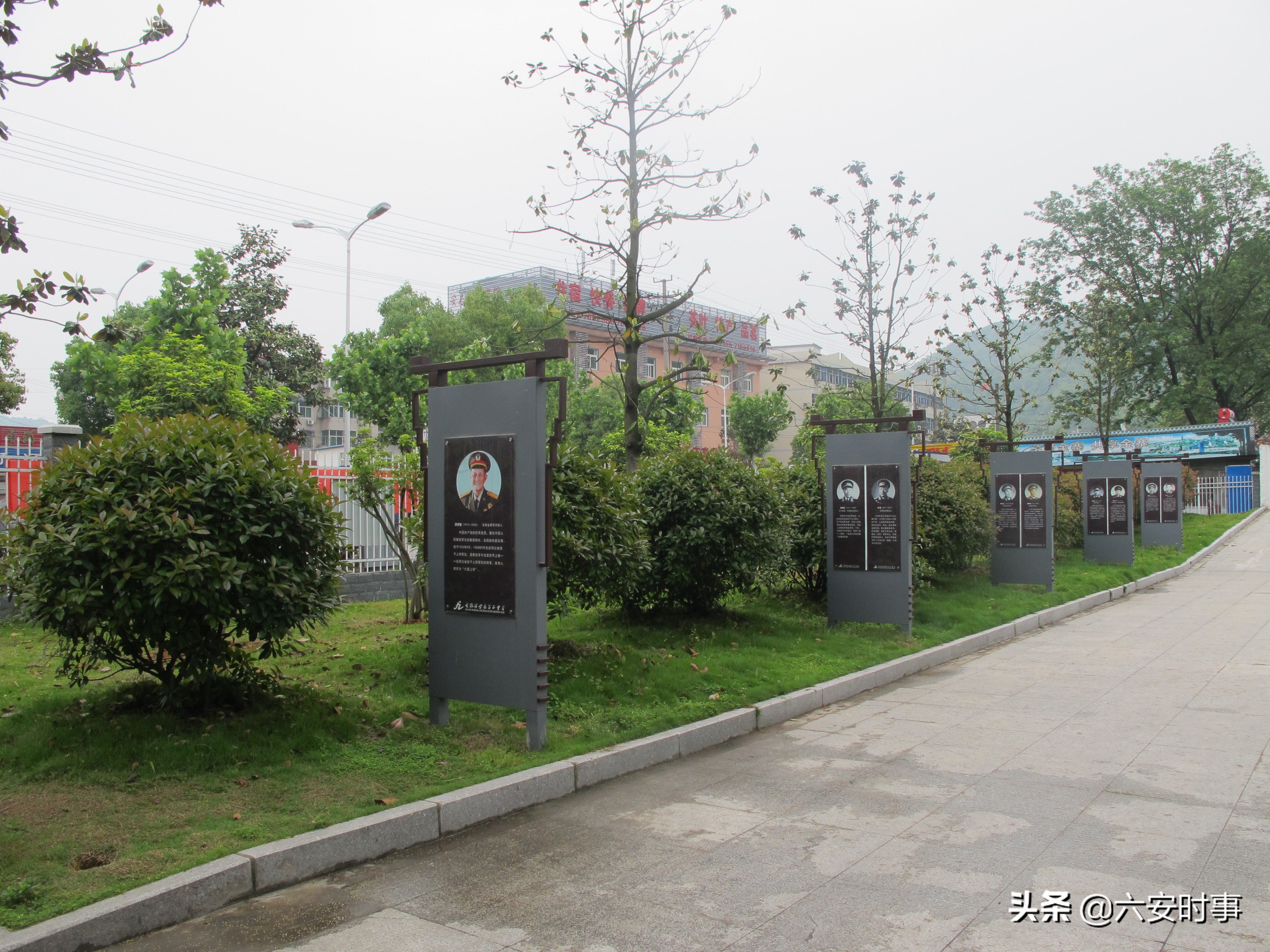 校园枝头春意浓,校园春意浓片段