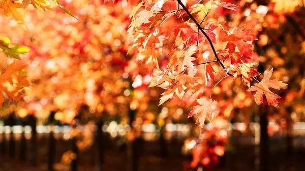 吐血整理！在上海你一定要知道这些