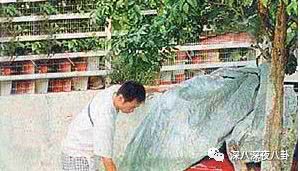 拜金女被退婚,拜金女为富二代抛夫弃子又被抛弃