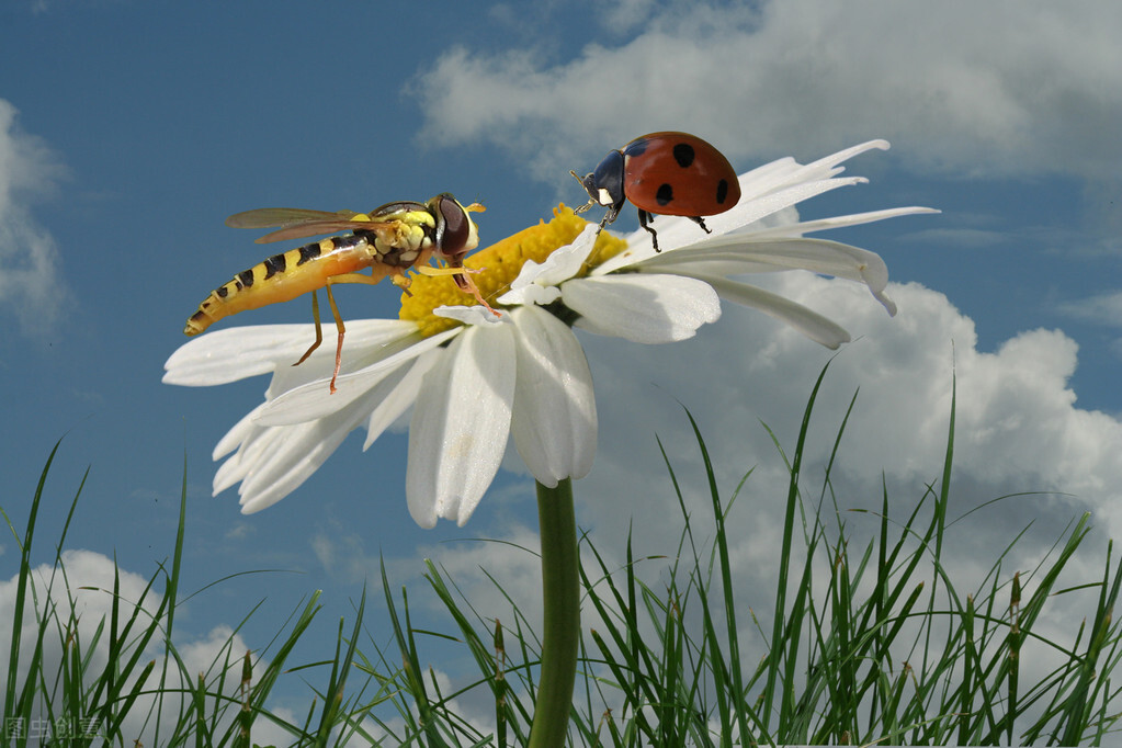 仁爱版英语七年级下册unit8知识点,七年级下册仁爱版英语8单元3话题