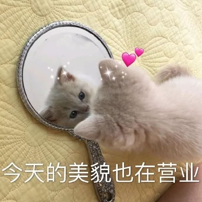 真实测评最好用的补水面膜排名,补水面膜排行榜第一名性价比