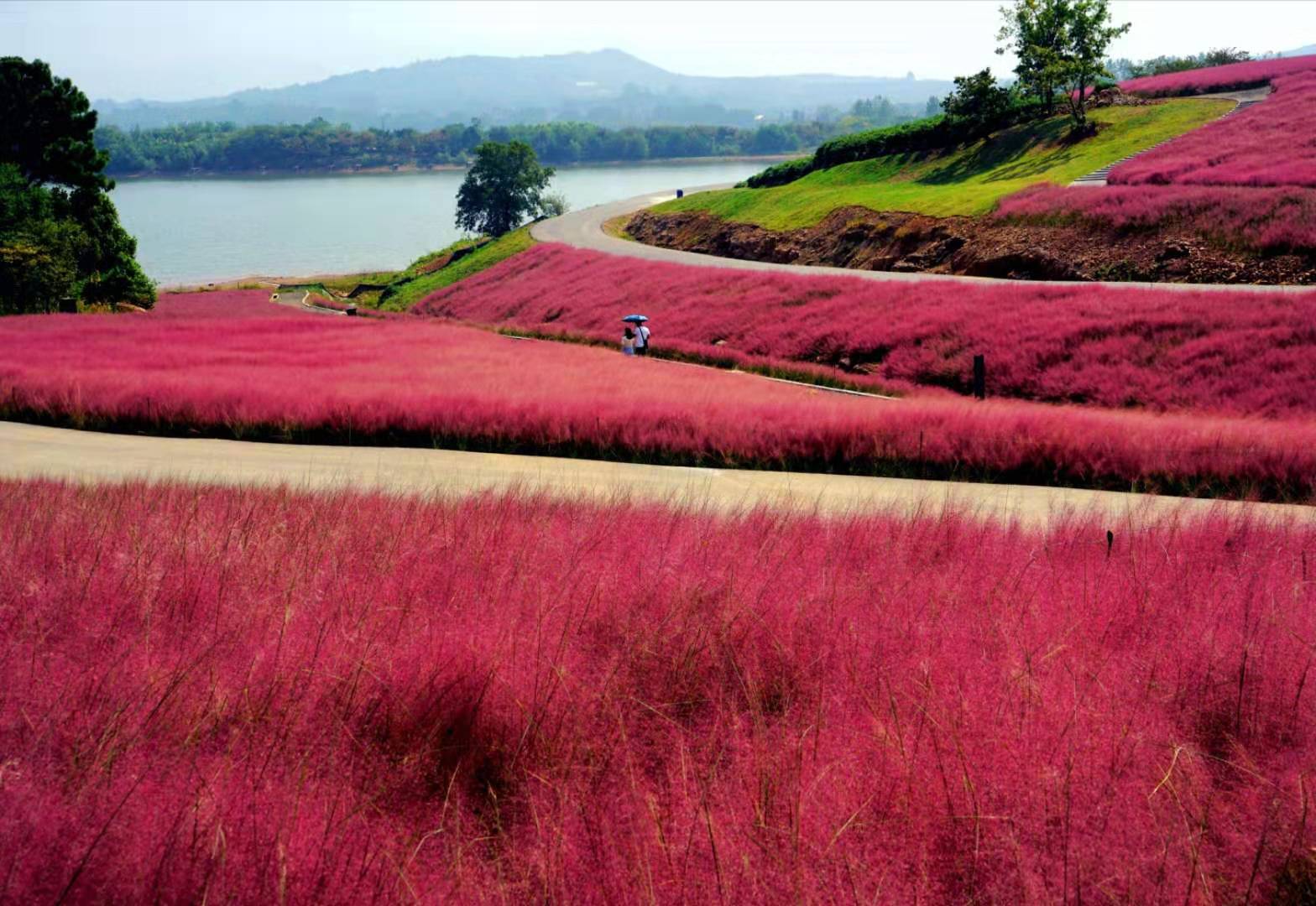 这些字您认识几个,这些字你能认识几个