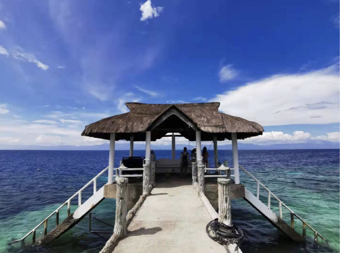 去宿雾攻略,宿雾旅行攻略