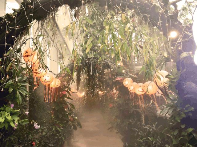 万圣节活动可以怎么捣蛋,广州万圣节攻略来了