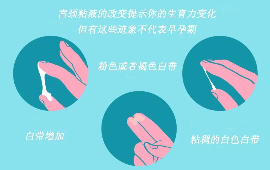 白带一定是鸡蛋清一样才正常吗,身上白带像鸡蛋清是怎么回事