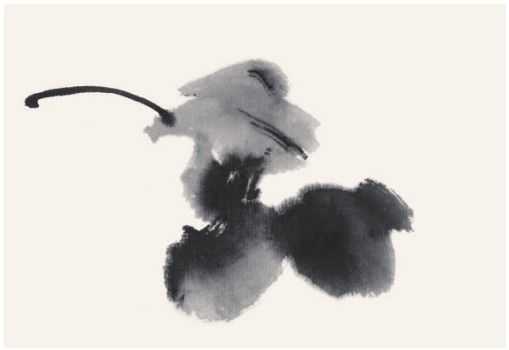 国画牡丹叶子的画法一窍不通,如何画牡丹花叶子和枝干国画视频