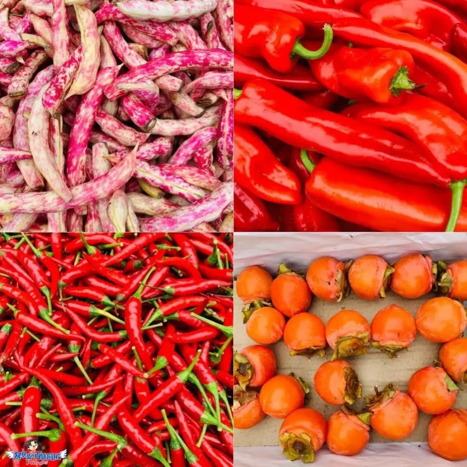 沈阳值得去的10个地方,沈阳最值得去的10个地方