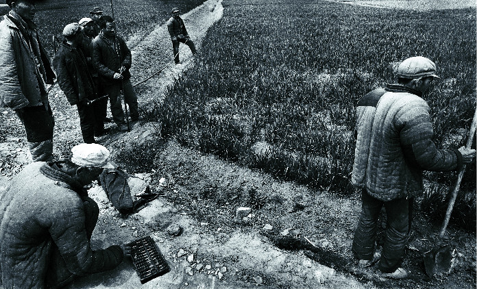 农村改革开放第一村小岗村是哪的,农村改革第一村安徽凤阳小岗村