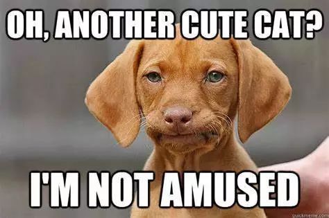 高校也会相互撕逼！你不知道的另一面：关于UC系统的轶闻趣事