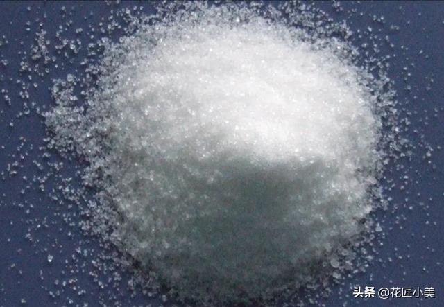 吊兰叶片少不长新叶片是什么原因,吊兰不长藤条怎么回事